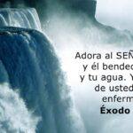 26 Versículos Bíblicos De Sanidad: Un Manantial de Esperanza