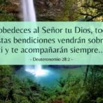 5 Lecciones Bíblicas sobre la Obediencia: Un Camino hacia la Bendición