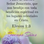 Bendito sea Dios: Explorando las bendiciones espirituales en Cristo