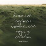 Cosechando alegría de las lágrimas: Reflexiones del Salmo 126:5-6