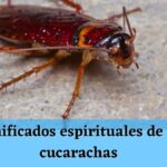 Cucaracha Significado Bíblico: Interpretación Simbólica y Espiritual