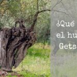 ¿Cuál es la importancia de Getsemaní en la Biblia?