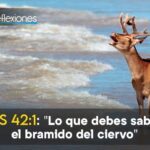 ¿De qué manera expresa el Salmo 42 el anhelo por Dios?