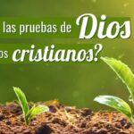 Dios nos pone pruebas difíciles para crecer en el camino