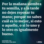 Eclesiastés 11:1-6: Reflexiones sobre buenas acciones e inversión