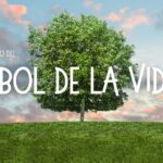 El árbol de la vida: significado bíblico, un símbolo de vida eterna