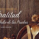 El poder de la gratitud: 8 razones para dar gracias a Dios