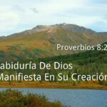 Exploración de Proverbios 8:22-31 sobre la Creación