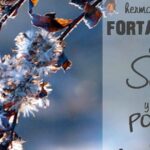 Fortalécete en el Señor: Descubre el Poder de la Fortaleza Espiritual