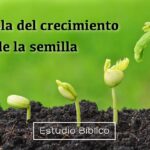 La Palabra de Dios como Semilla: La Parábola del Crecimiento Secreto Explorada