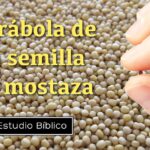 La Parábola del Grano de Mostaza: Un Estudio de Crecimiento y Fe