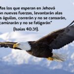 Los que esperan en Jehová: Vuelo de Águila y Fe Inquebrantable