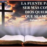 Los tiempos de Dios son perfectos: Entendiendo la sabiduría divina