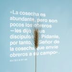 ¿Qué dice la Biblia sobre una cosecha abundante pero pocos trabajadores?