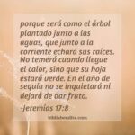 ¿Qué enseña Jeremías 17:8-14 sobre los árboles y el agua?