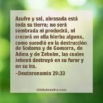 ¿Qué enseñanzas ofrece Deuteronomio 29:23 sobre la destrucción?