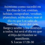 ¿Qué enseñanzas puede ofrecer Lucas 17:28-30 para la vida actual?