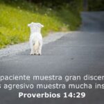 ¿Qué historias en la Biblia son ejemplos de paciencia?