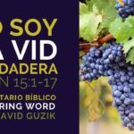 ¿Qué es la vid?  Un símbolo de vida, unidad y fruto en la Biblia