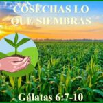 Reflexión sobre las Enseñanzas Eternas de Gálatas 6:7